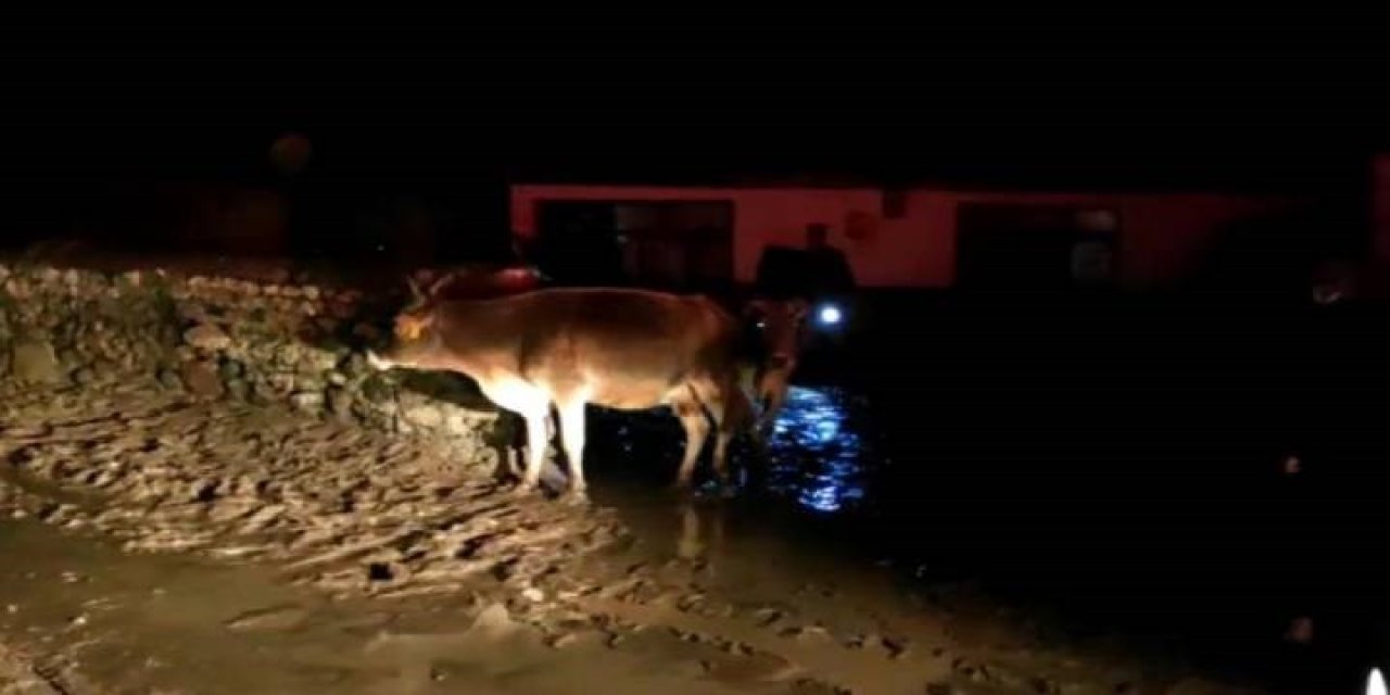 Kars’ta sağanak sele yol açtı!