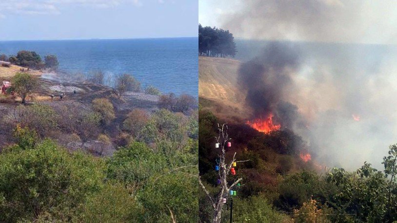Tekirdağ'da orman yangını