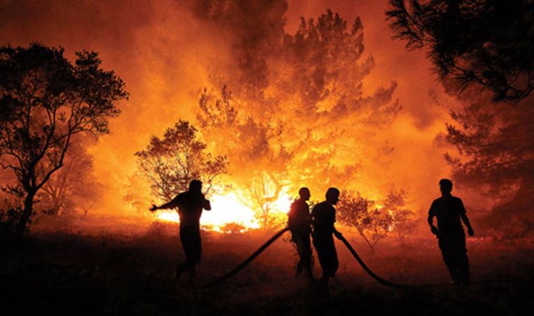 SOL Parti'den çarpıcı rapor! "Yetkisiz OGM’den altın tepside orman"