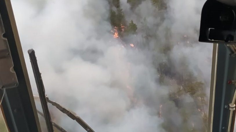 Adana'da orman yangını!