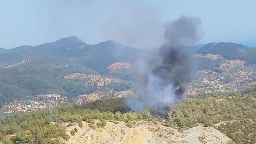 Bodrum'da orman yangını çıktı