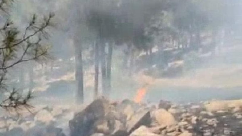 Kilis'te orman yangını çıktı