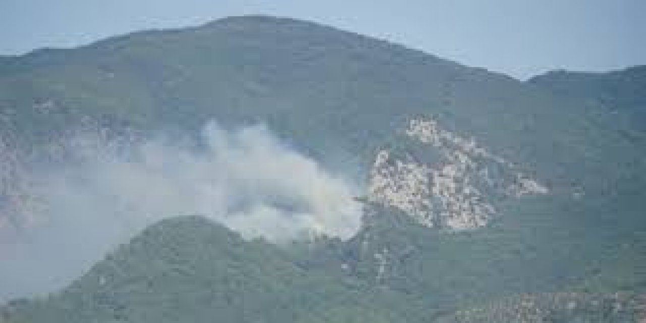 Kazdağları'ndaki yangınla ilgili Bakan Pakdemirli'den açıklama!
