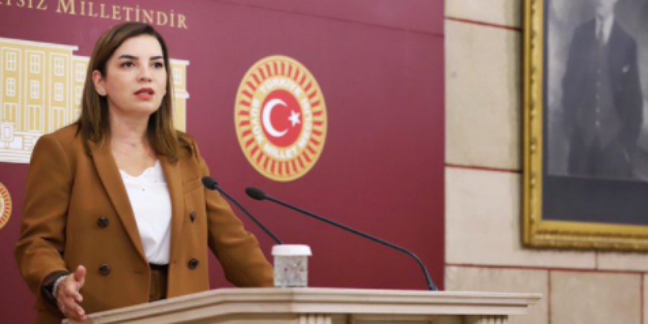 MHP'li vekilden manidar açıklama! "Milli servetlere dokunanlar, tahribata uğratanlar, milli servetleri yok edenler, vatan düşmanlarıdır"