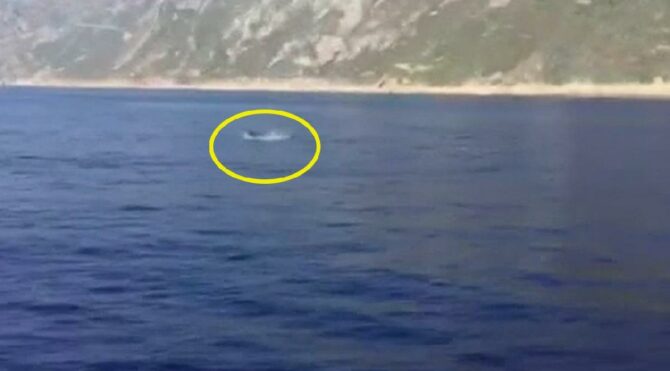 Hatay’da ortaya çıktı! İzleyenler mest oldu