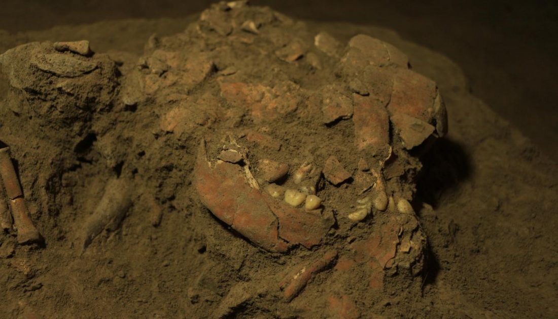 Yeni bir genetik analiz: Kayıp insan soyuna ışık tutuyor!