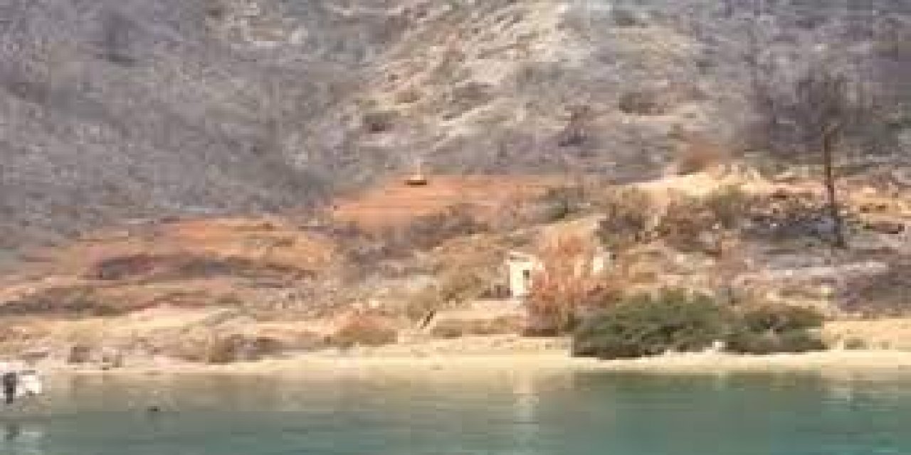 Erdoğan "Yanan alanlar başka amaçla kullanılamaz, tekrar ağaçlandırılır" demişti! Yanan alanlara TOKİ giriyor... Çok tartışılacak karar Resmi Gazete'de!