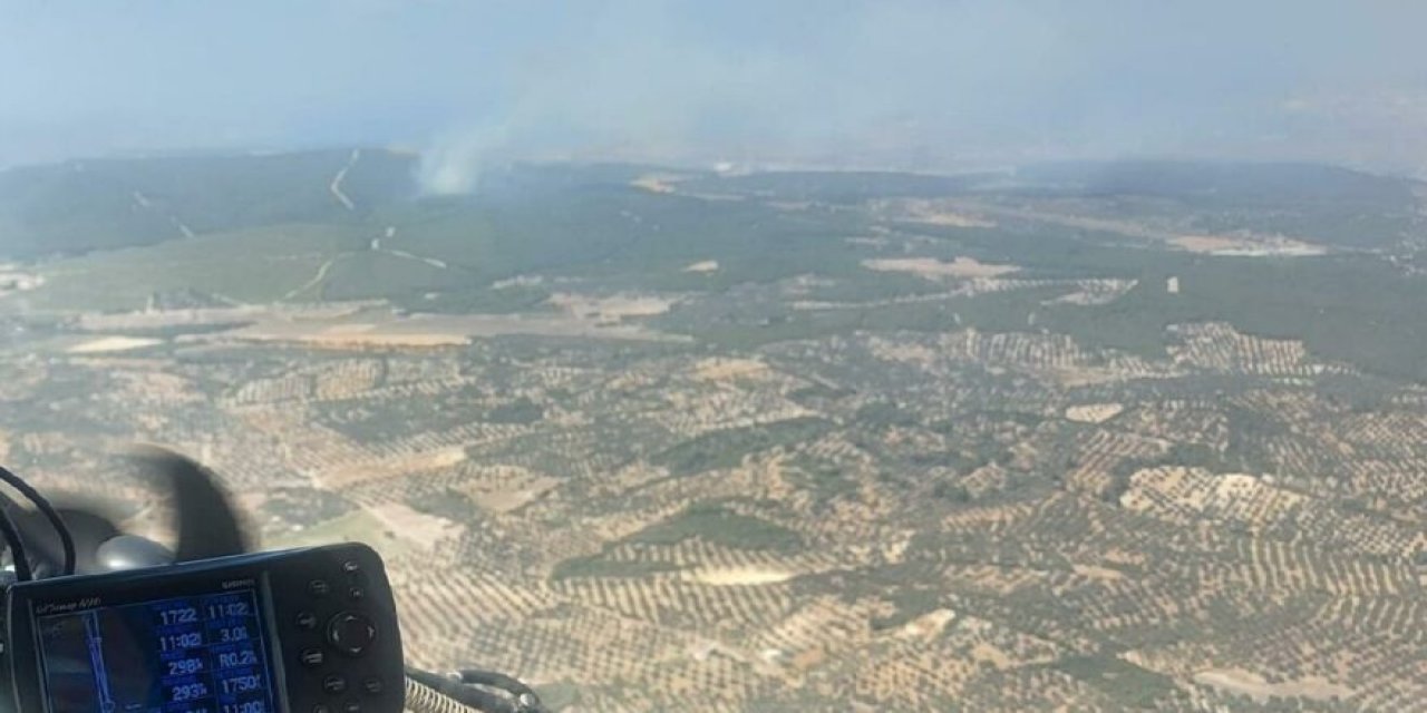 İzmir Foça’da korkutan orman yangını! Ekipler sevk edildi!