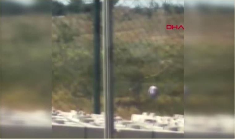 Eşeğe cinsel istismar iddiası!