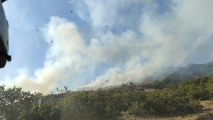 Bingöl'de orman yangını