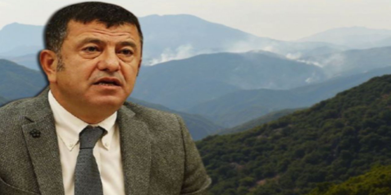 "Doğru bilgi verilmiyor" CHP'li Veli Ağbaba'dan Tunceli'deki orman yangınına yönelik açıklama!