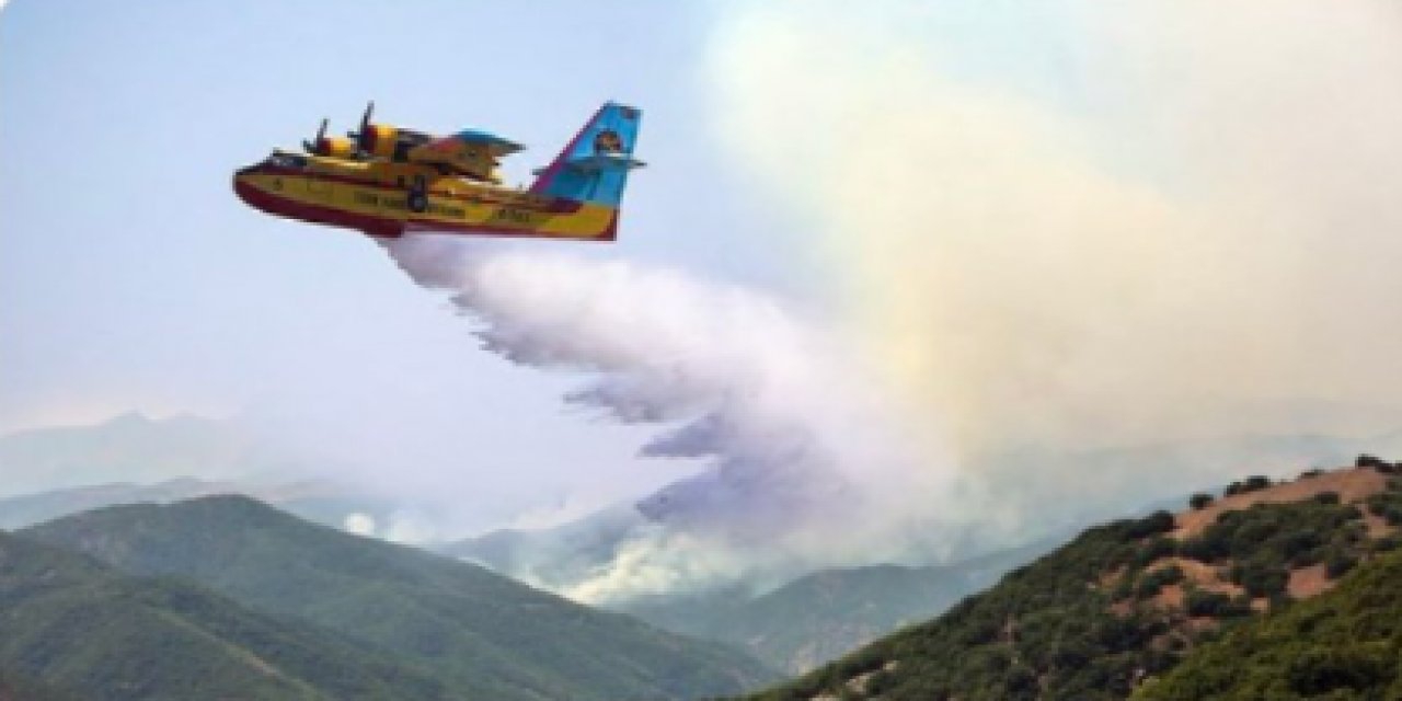 "Uçakların rengi bile tutmuyor..." AKP Tunceli İl Başkanı yangına "photoshop"la müdahale etti! "Günü kurtarmaya çalışmış ama..."