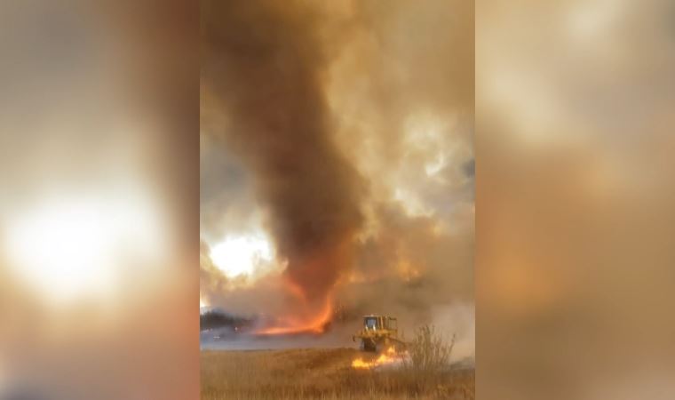 Orman yangınlarında nadir görülen görüntü: ‘Alev Hortumu’ oluştu