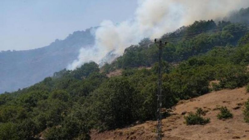 Bingöl ve Bitlis'te orman yangın