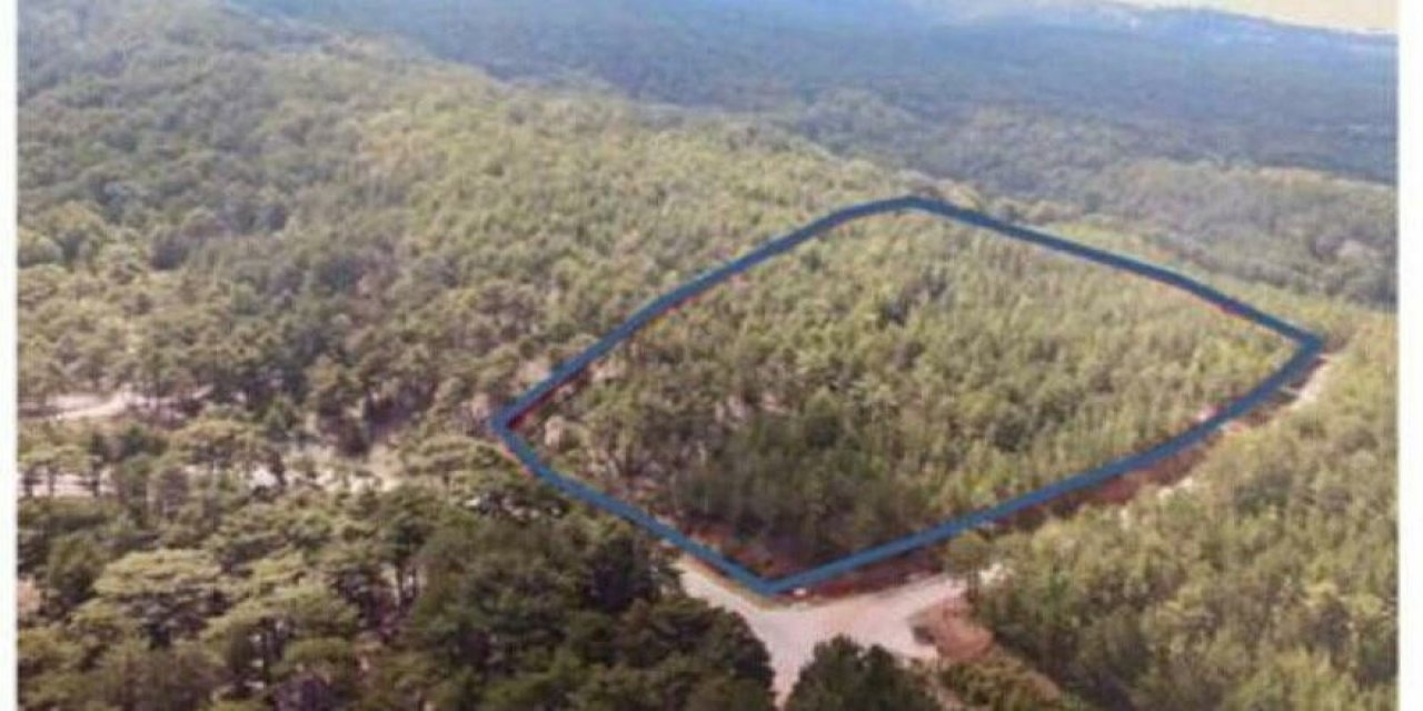 Yanmayan ormanları da "otel" için kesecekler! Bizzat Turizm Bakanlığı işaretledi... Liste kabarık!
