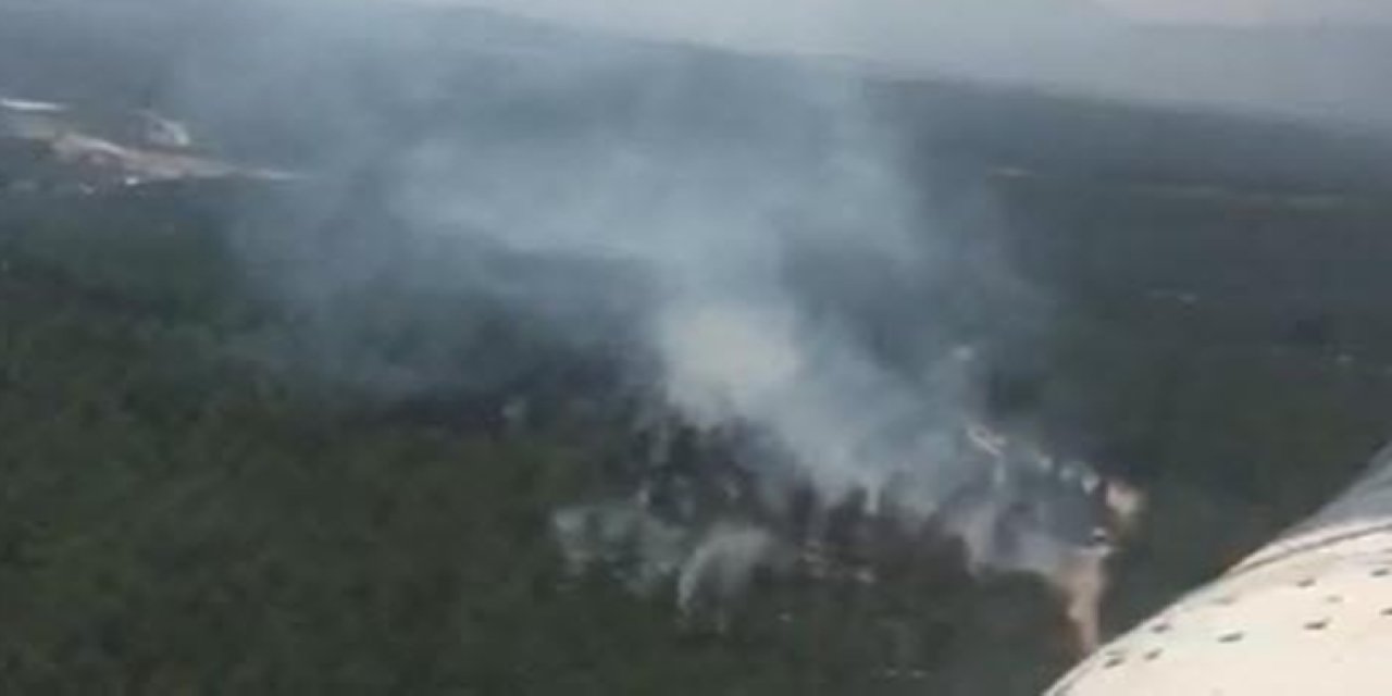 Manisa Akhisar'da korkutan orman yangını!