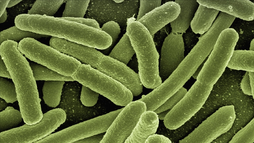 Çocuklarda görüldü! Gizemli hastalık paniği