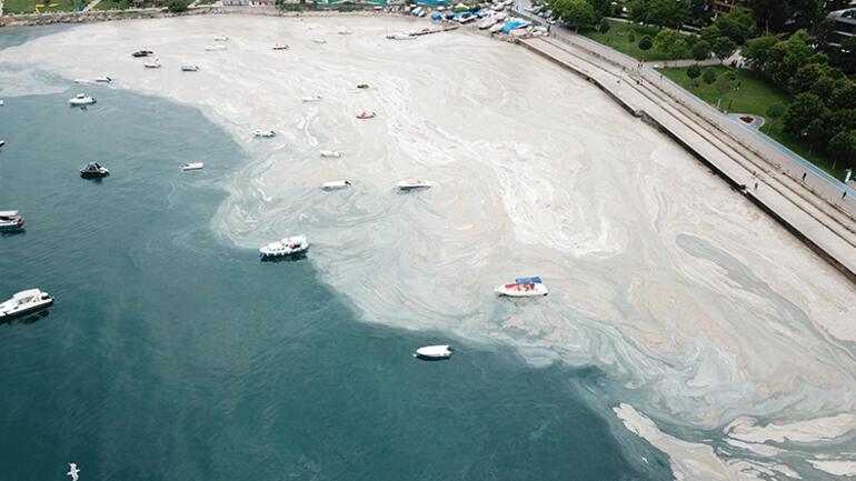 Av yasağı sona erdi, kritik uyarı geldi! 'Müsilaj vakalarını görmemiz mümkün'