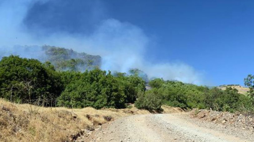 5 gündür devam eden yangın, yerleşim yerlerini tehdit etmeye başladı