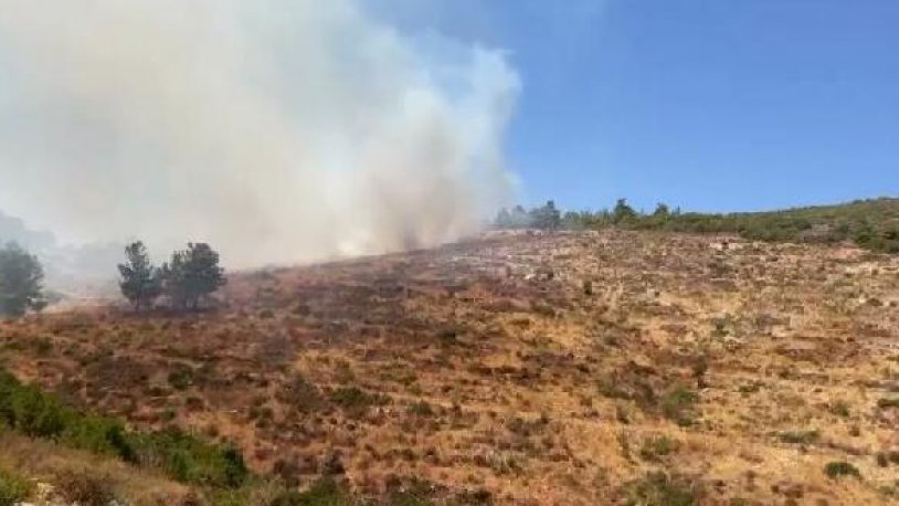 Bodrum'da orman yangını