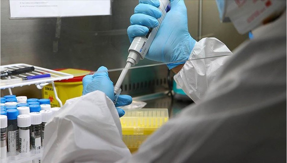 "İki hafta önce salgından haberim vardı" dedi! Ünlü profesörden ortalığı karıştıracak "koronavirüs kökeni" açıklaması