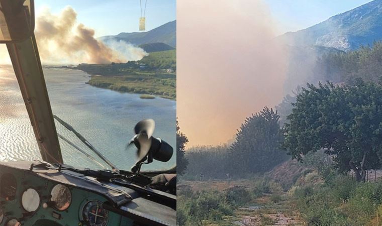 Söke'de orman yangını