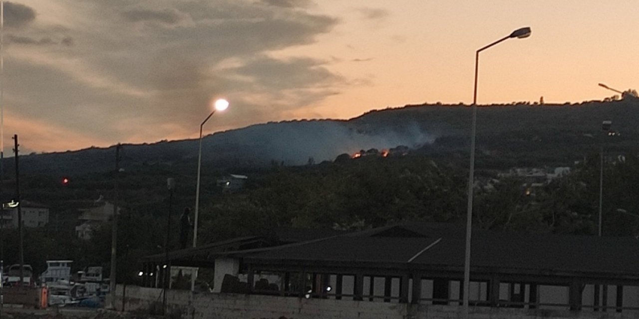 TEKİRDAĞ ŞARKÖY'DE 200 DEKAR ORMANLIK VE ZEYTİNLİK ALAN YANDI