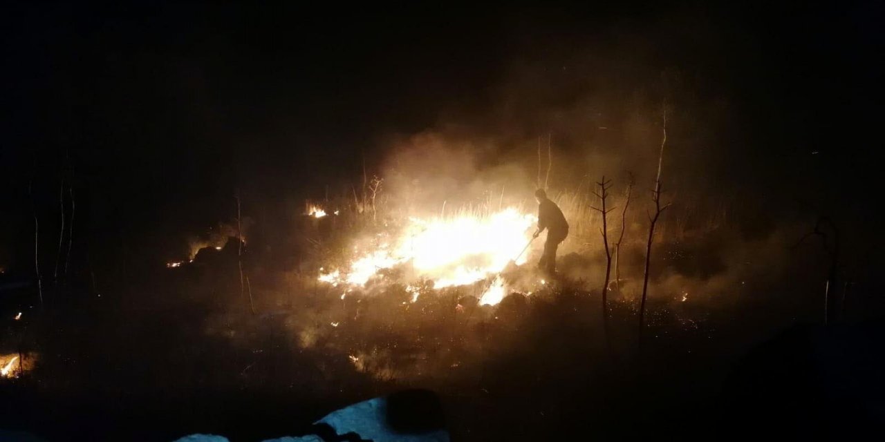 Bodrum'da 12 dönüm makilik alan yangında zarar gördü