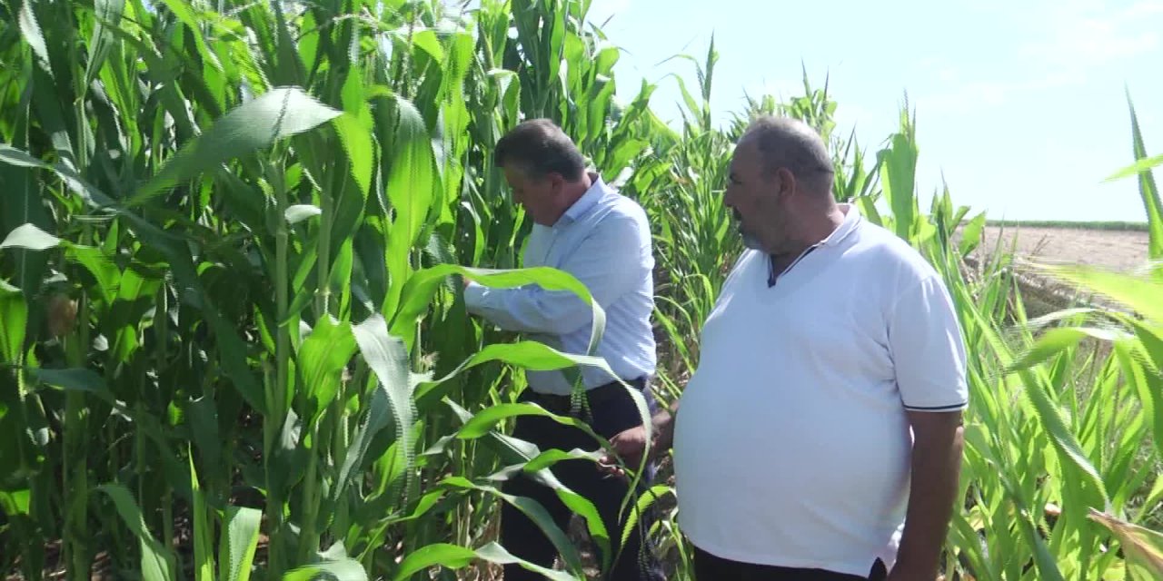 155 BİN LİRALIK ELEKTRİK FATURASI GELEN ADANALI ÇİFTÇİ:NİN  “FABRİKA MI ÇALIŞTIRIYORUM" İSYANI