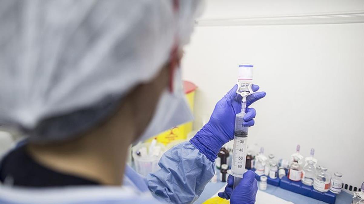 MHP'li eski vekil koronavirüs ilacını buldu! "Yaptığımız çalışma gösterdi ki yılan zehri ile Covid-19..."