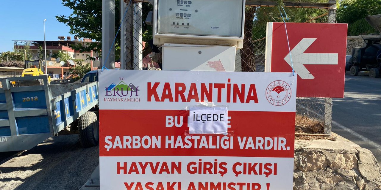 Siirt'in Eruh ilçesinde ŞARBON çıktı, İLÇEYE HAYVAN GİRİŞ ÇIKIŞLARI YASAKLANDI