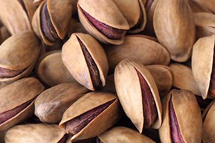 Antep fıstığı fiyatı: Tarlada 28, tezgahta 120 TL