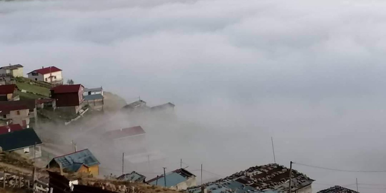 RİZE'DE BULUTLARIN ÜZERİNDEKİ YAYLALAR ZİYARETÇİLERİNİ BÜYÜLÜYOR