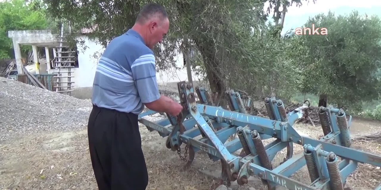 ÇOBAN İLE TİLKİ DOST OLDU: "KİMSE ZARAR VERMEYE ÇALIŞMASIN"