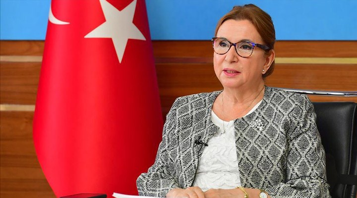 Skandalları gündeme bomba gibi düşmüştü... Eski Bakan Ruhsar Pekcan'a bir şok daha! Eski ortakları harekete geçti