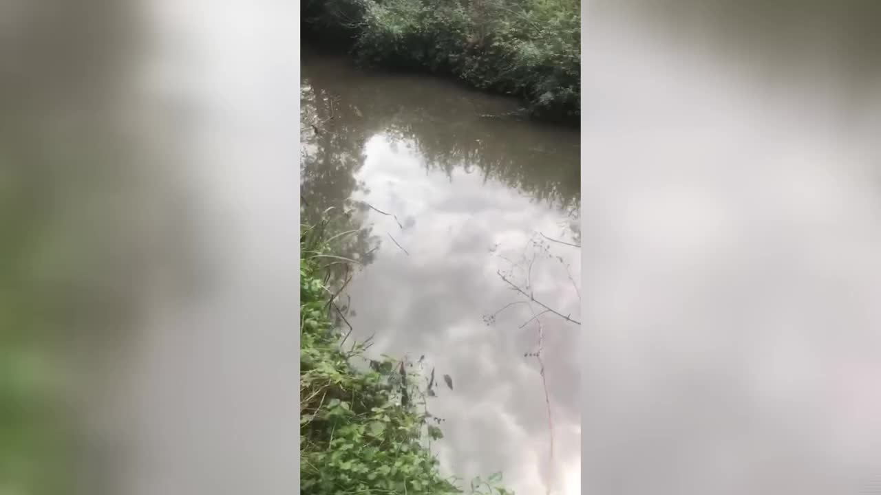 Ortaköylüler derelerinin kirletilmesine tepkili: "Atıklar ne varsa öldürüyor"