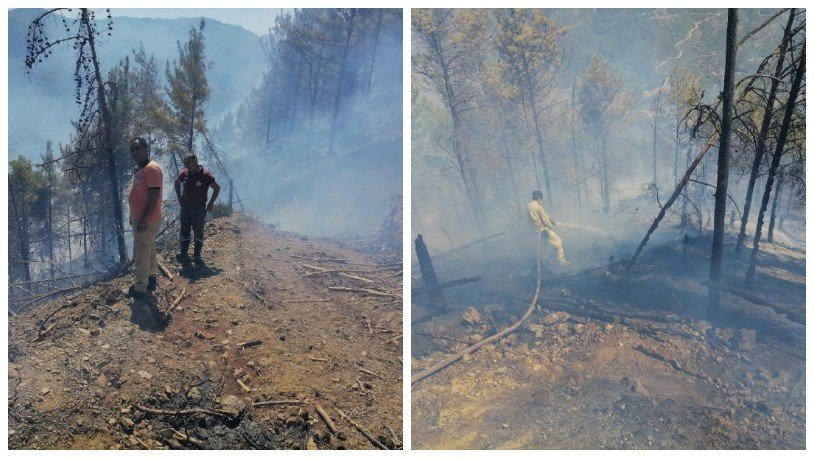 Mersin Anamur'da orman yangını