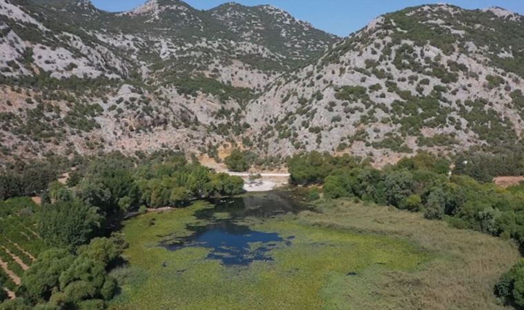 Bir kentte içme suyu kaynağında endişelendiren kirlilik