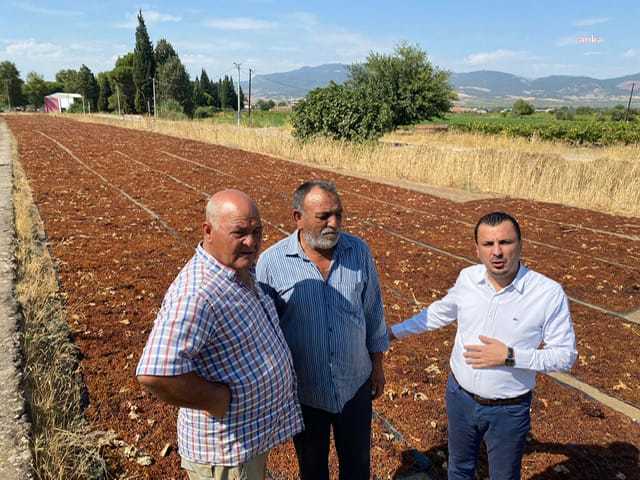 Toprak Mahsulleri Ofisi Genel Müdürü Ahmet Güldal'ın açıklamasına CHP'li vekilden tepki: "Fiyatı üretici mi belirliyor ki memnun olsun?"