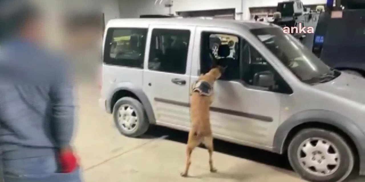 Van'da 217 kilo eroin yakalandı