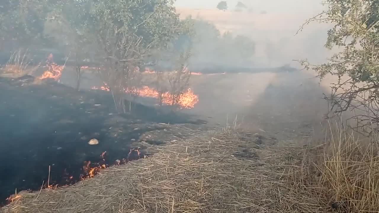 Bilecik'te 50 dönüm tarım arazisi kül oldu