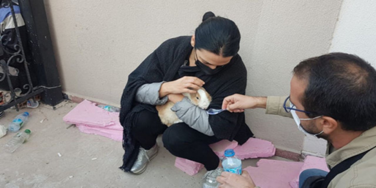 TAVŞANI ENKAZDAN ÇIKARILMIŞTI Beril ve annesinden acı haber