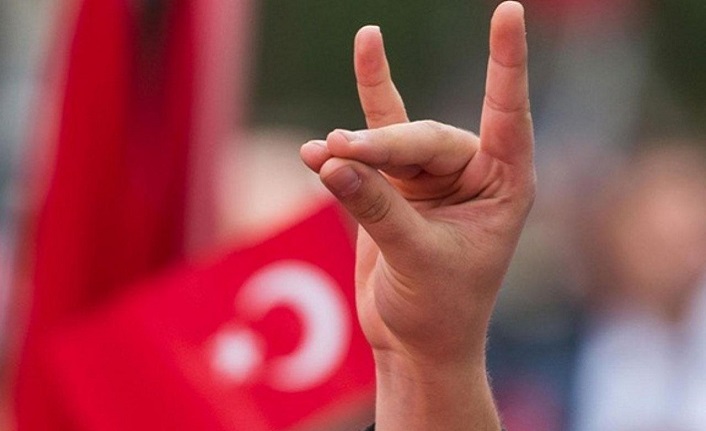 Almanya'da Ülkü Ocakları hakkında çarpıcı rapor: "Anayasa’ya aykırı hedefleri şiddetle hayata geçirmek istiyor"