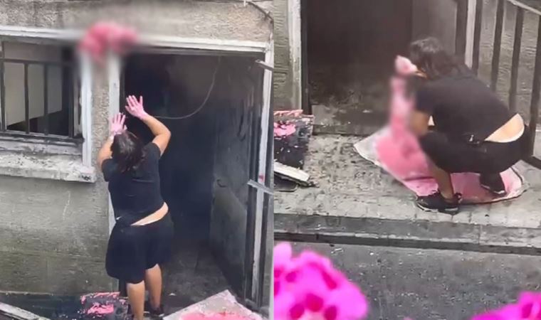 Şişli'de dehşet veren görüntü: Ölü kediyi boyayıp kapıya astı
