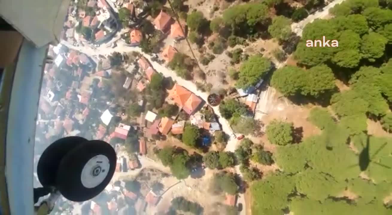 Ayvalık'ta çamlık alanda yangın