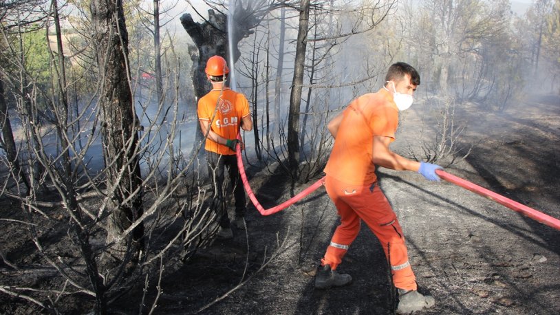 Adana'da orman yangını