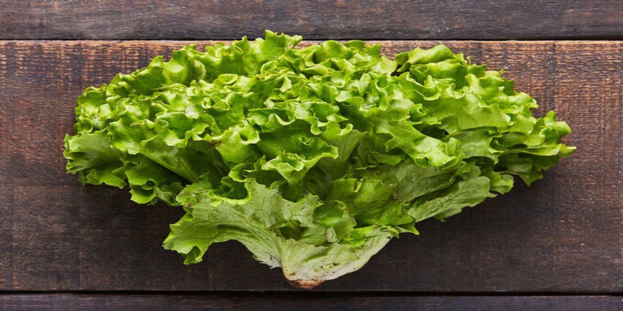 Eylülde en çok kıvırcık salata fiyatı arttı