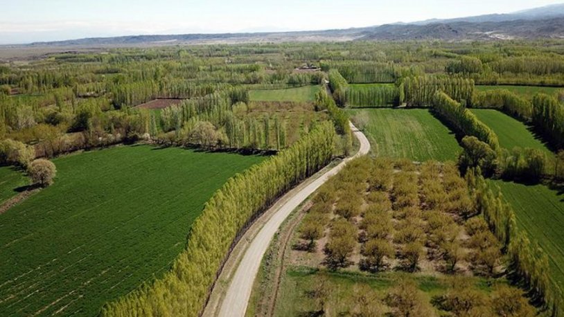 Sayıştay raporlarını referans gösterdi! Murat Ağırel'den bomba yazı: "Binlerce Hazine arazisi kayıp"