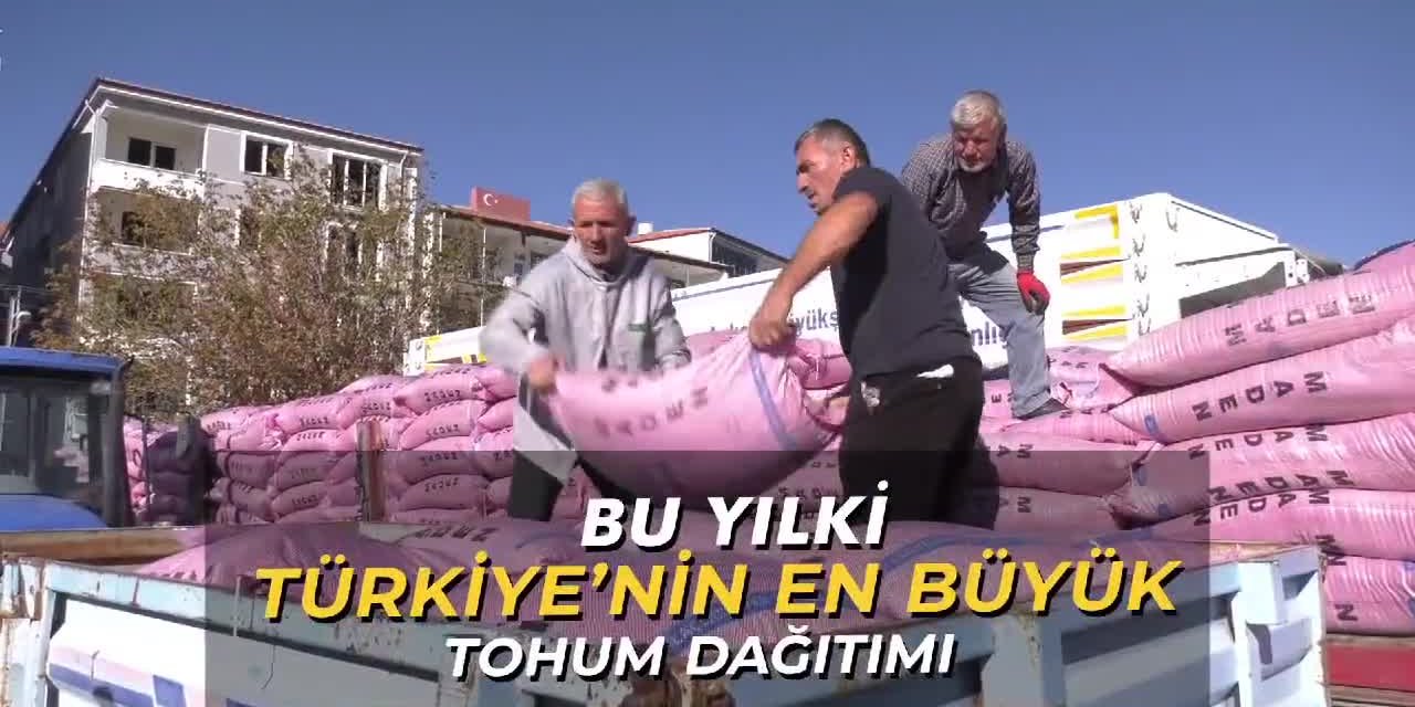 Mansur Yavaş: "420 dönümlük alanı 12 bin ton buğday ve arpa tohumu ile buluşturuyoruz”