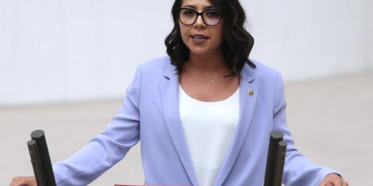 TİP'ten "Gelir azaldıkça devlet desteğini artıracak" kanun teklifi